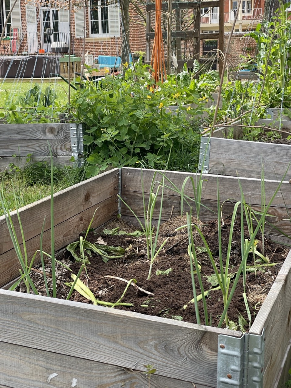 Potager en carré en rehausses d'étalage