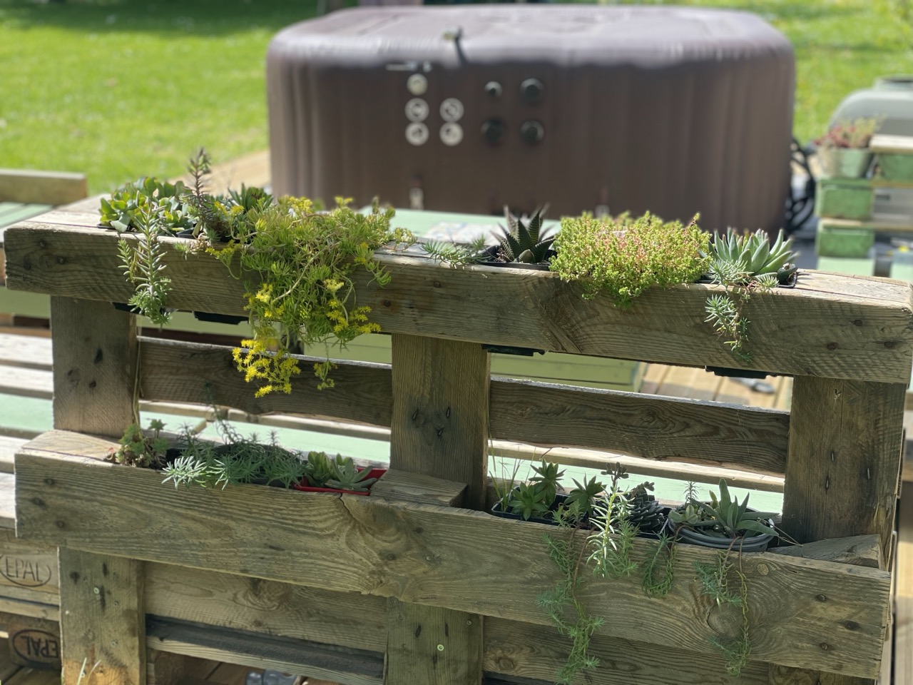 Arrière de banc en palettes 1B2F