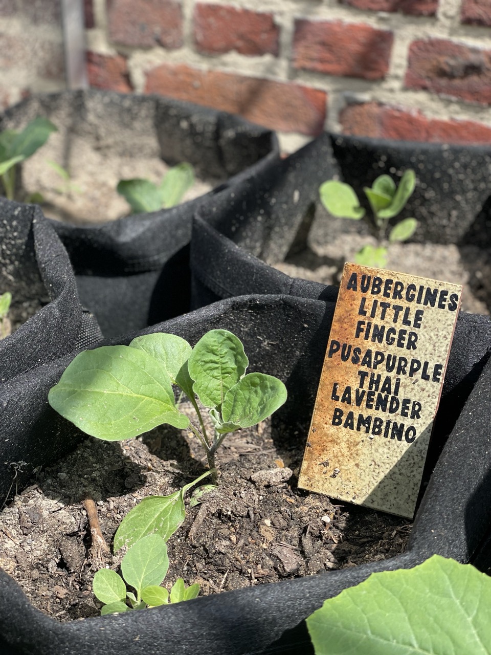 Marque plantes en carrelage recyclé 1B2F