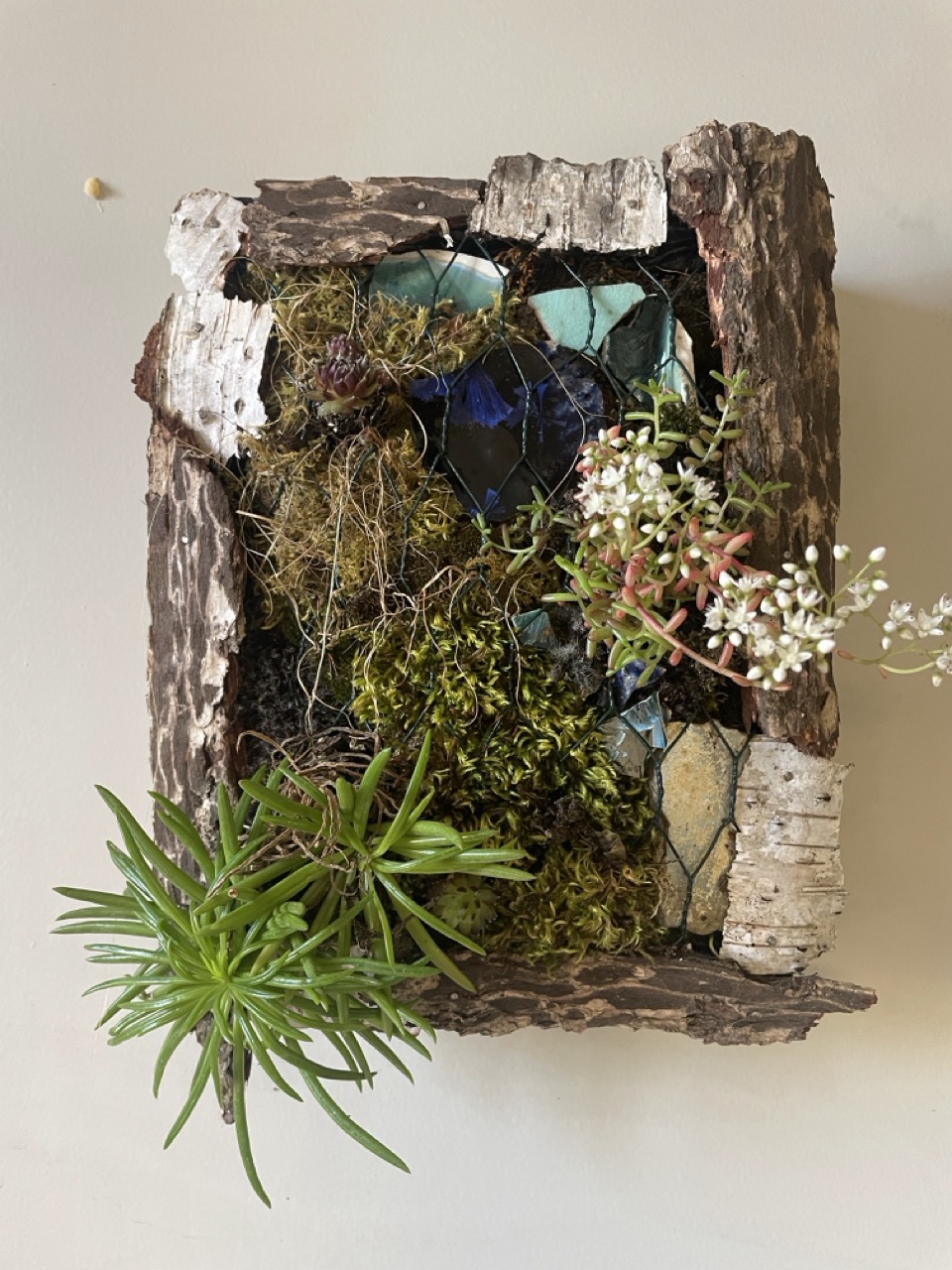 Tableaux végétaux "Linda" - 1 Brin 2 Folie