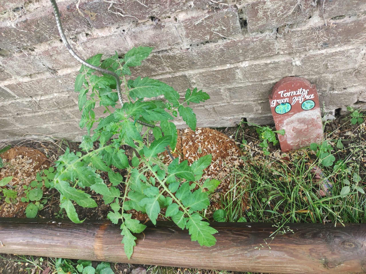 Fleurs du Jardin 1B2F