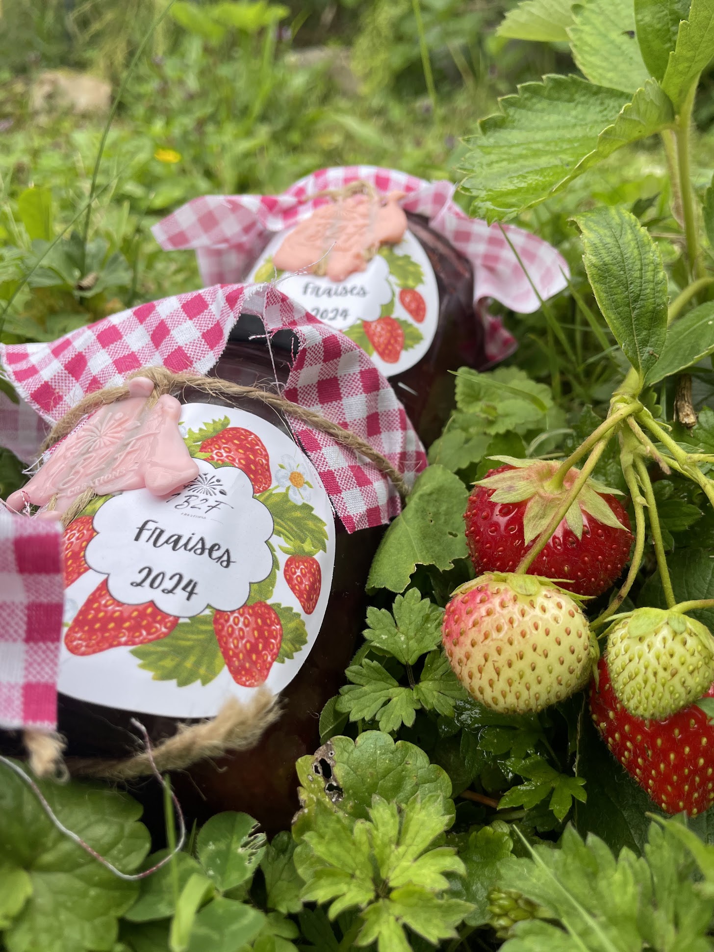 Confiture de fraise Framboises 1B2F