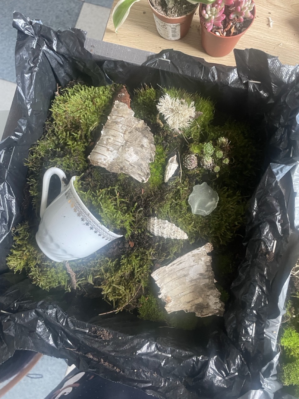 Tableaux végétaux "Linda" - 1 Brin 2 Folie