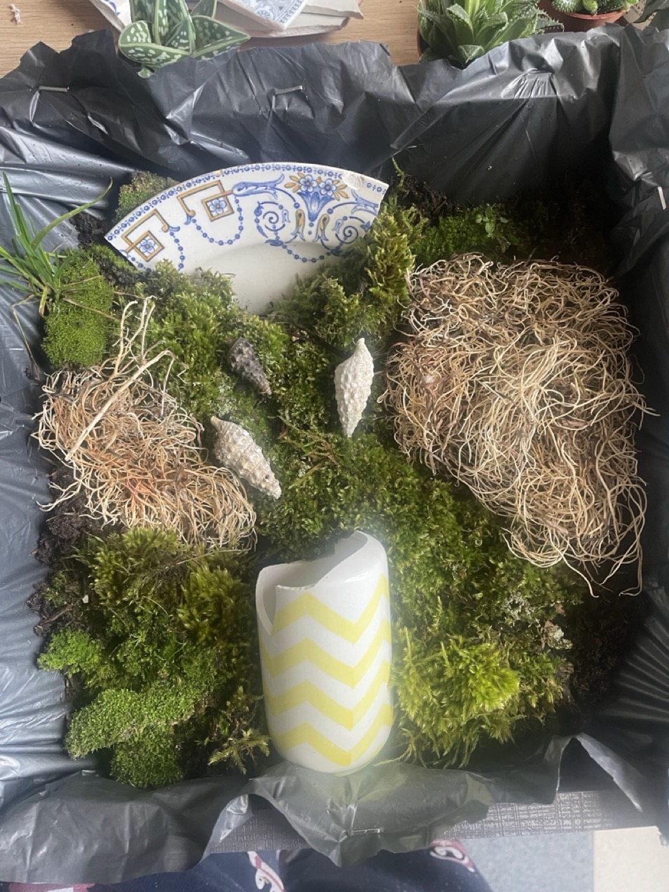 Tableaux végétaux "Linda" - 1 Brin 2 Folie