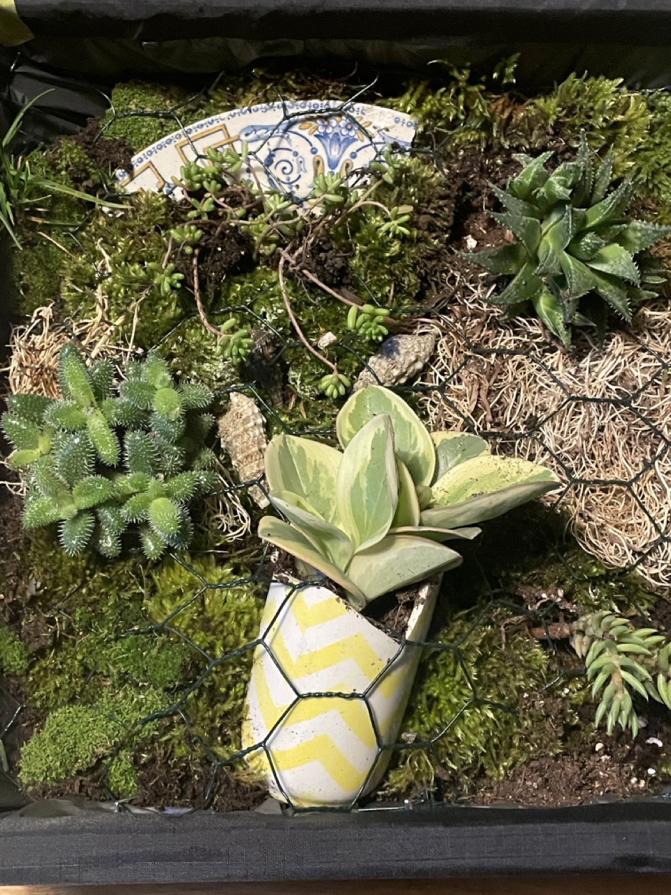 Tableaux végétaux "Linda" - 1 Brin 2 Folie