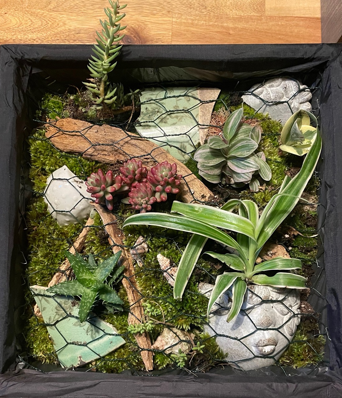 Tableaux végétaux "Linda" - 1 Brin 2 Folie