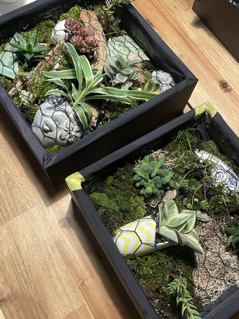 Tableaux végétaux "Linda" - 1 Brin 2 Folie