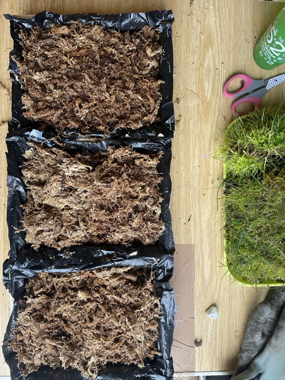 Tableaux végétaux "Linda" - 1 Brin 2 Folie