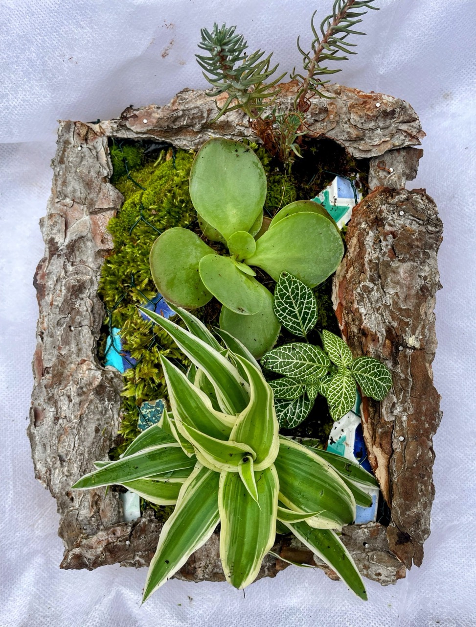 Tableaux végétaux "Linda" - 1 Brin 2 Folie