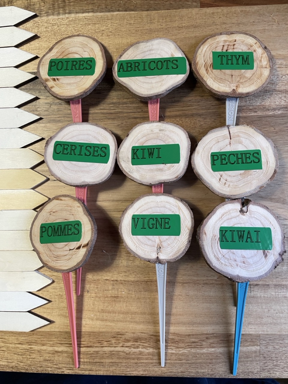 Marque plantes en tronçons de bois 1B2F