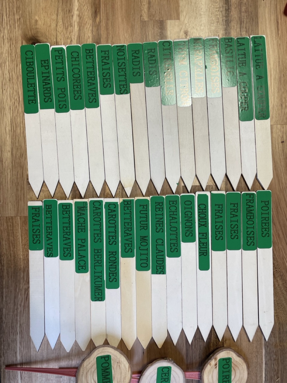 Marque plantes à la cricut / Silhouette 1B2F