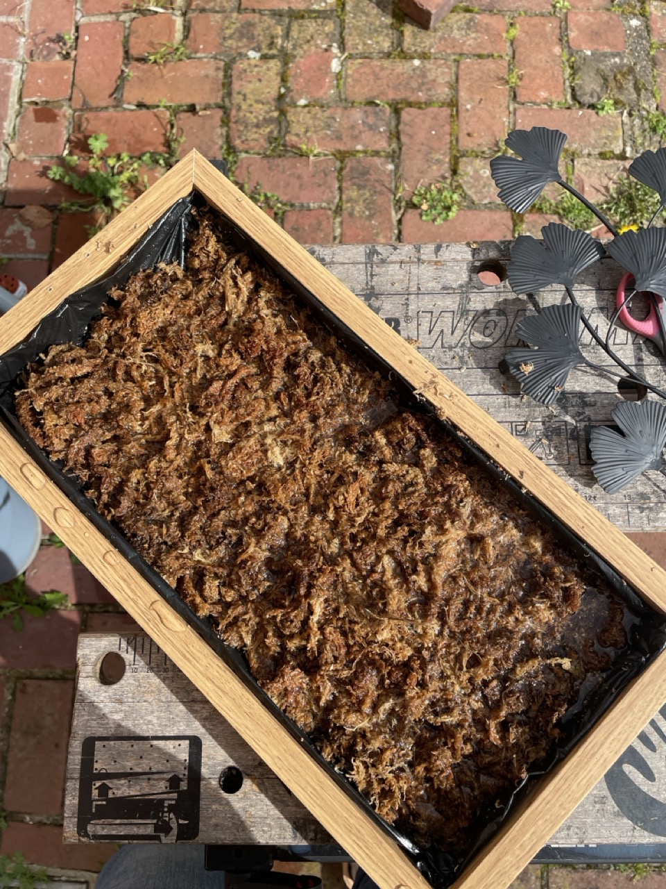 Tableaux végétaux "Linda" - 1 Brin 2 Folie