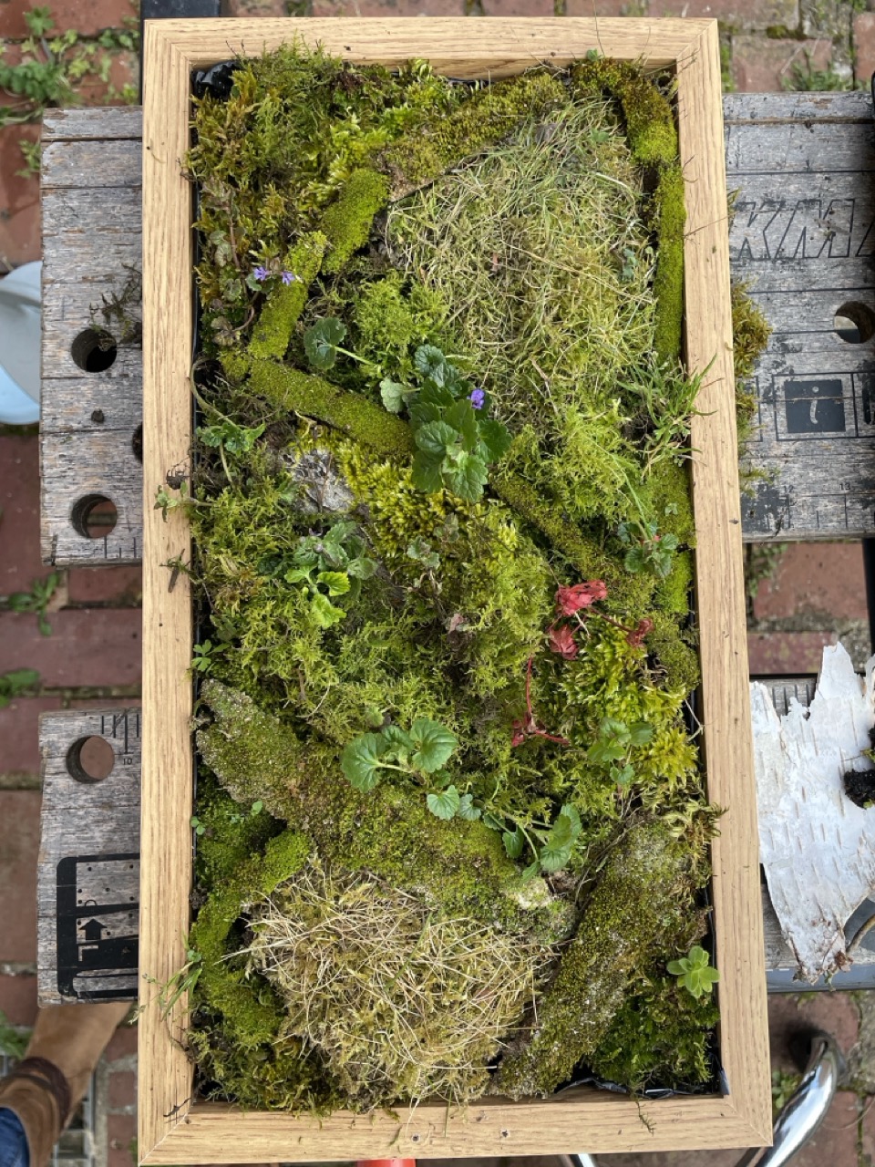 Tableaux végétaux "Linda" - 1 Brin 2 Folie