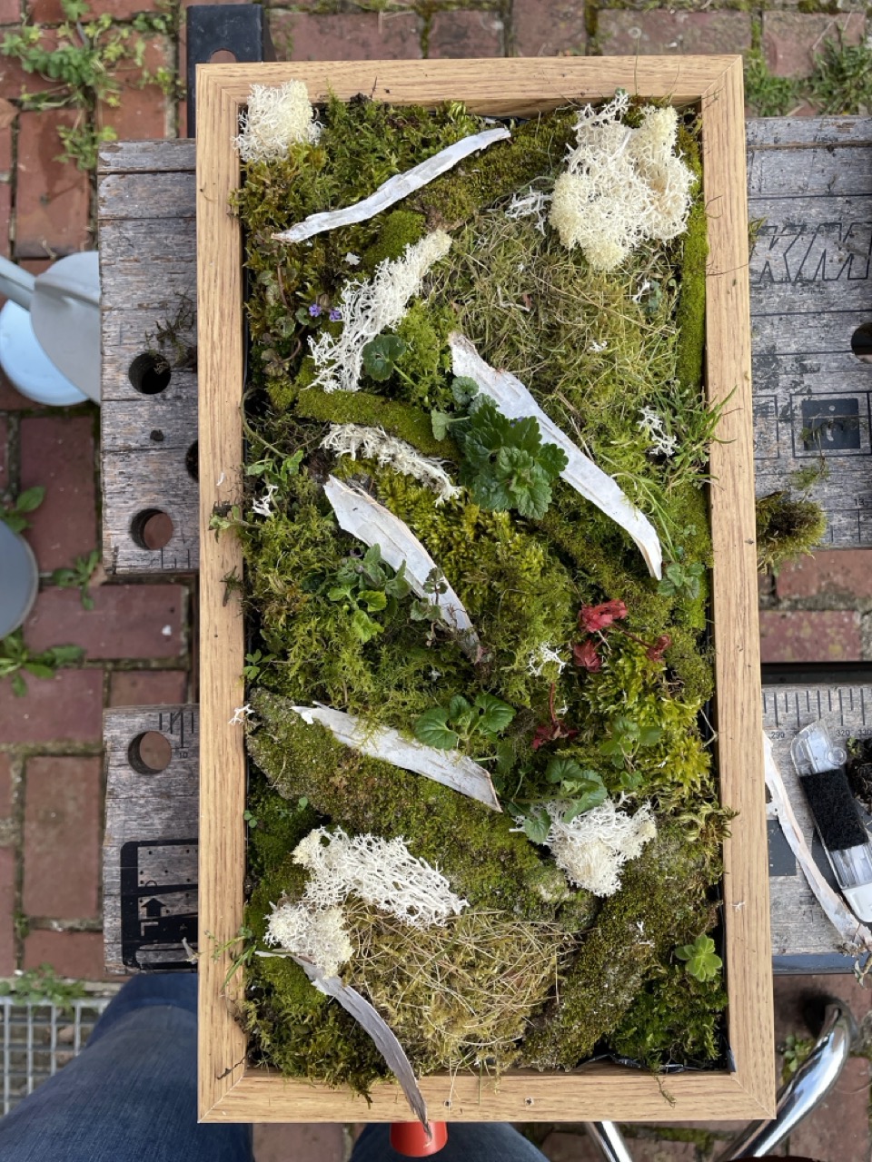 Tableaux végétaux "Linda" - 1 Brin 2 Folie