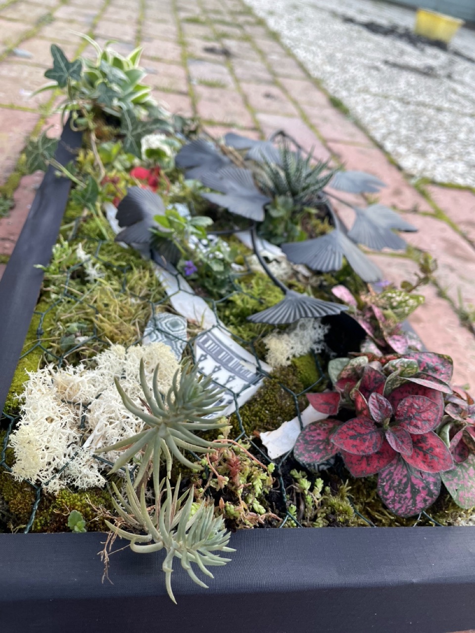 Tableaux végétaux "Linda" - 1 Brin 2 Folie