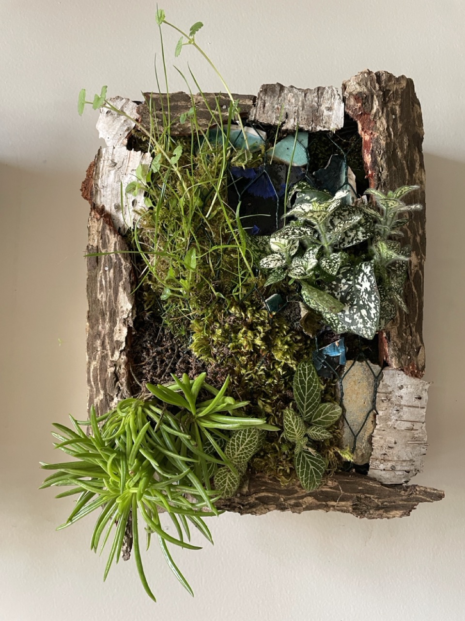 Tableaux végétaux "Linda" - 1 Brin 2 Folie