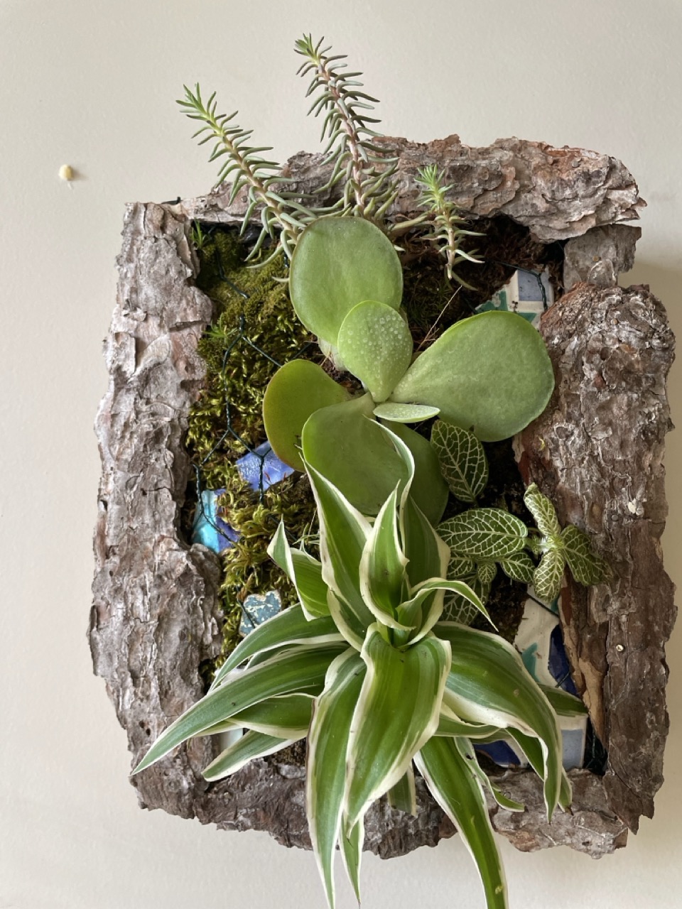 Tableaux végétaux "Linda" - 1 Brin 2 Folie