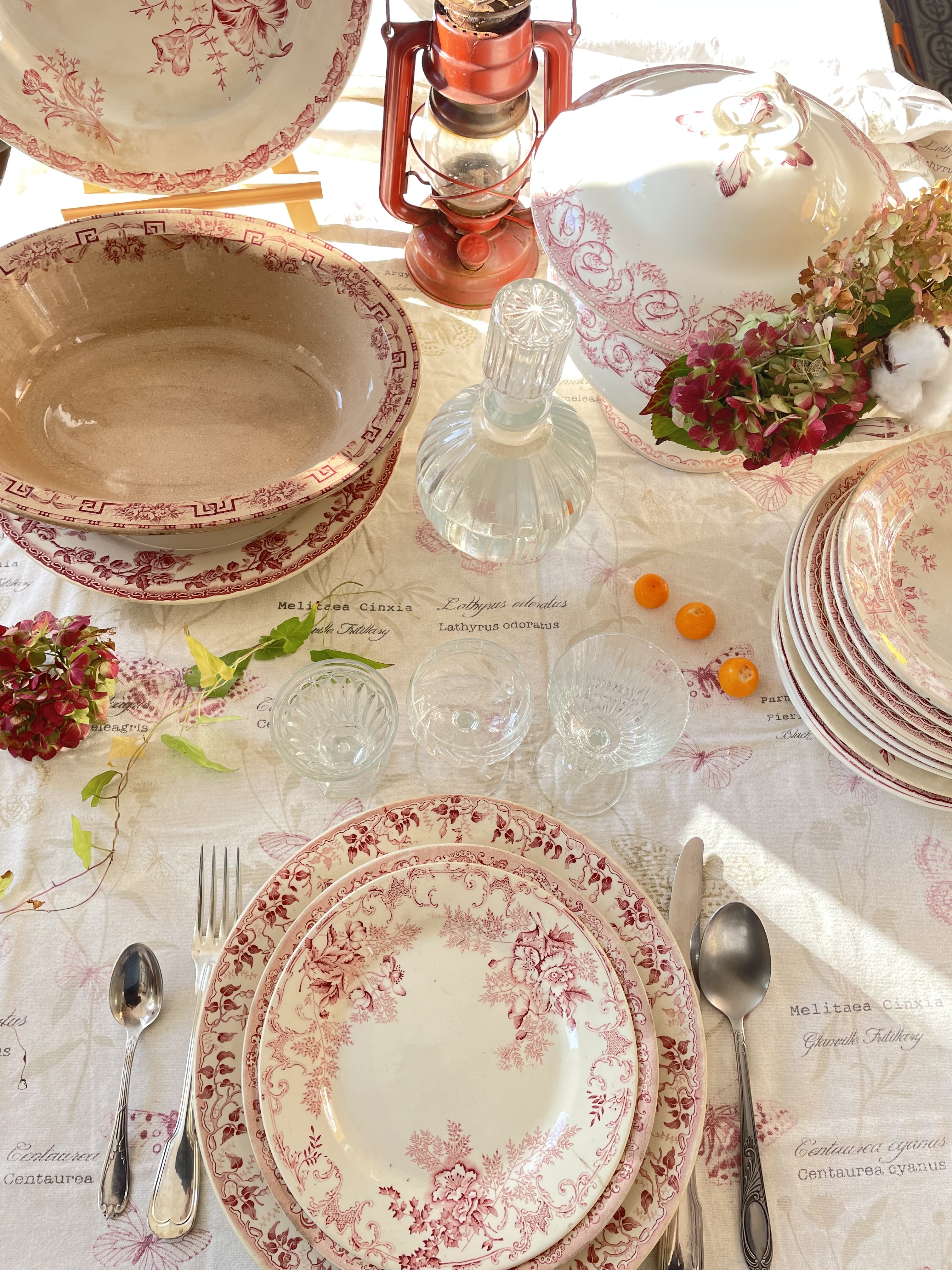 1B2F locations - Vaisselle ancienne vieux rose